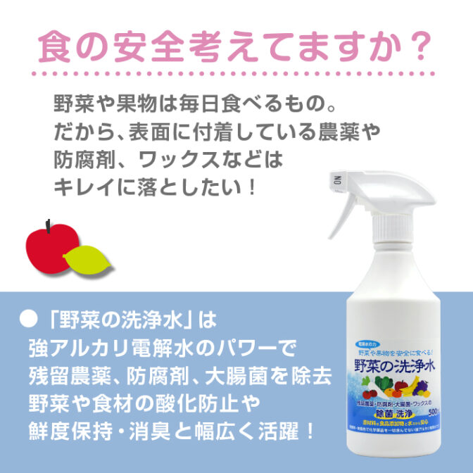 使い勝手の良い イーウォッシュ 無色無臭 安心安全 詰め替え e-wash 2L×2本