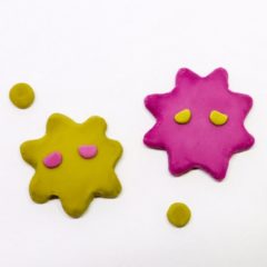 イギリスでさらに進化した変異種のコロナウイルス発生について