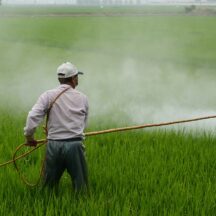 農薬は身体に悪い?メリット、デメリットを紹介します!